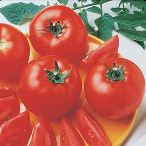 Medium-Large Tomato Seeds