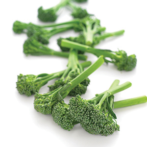 Broccoli Seeds
