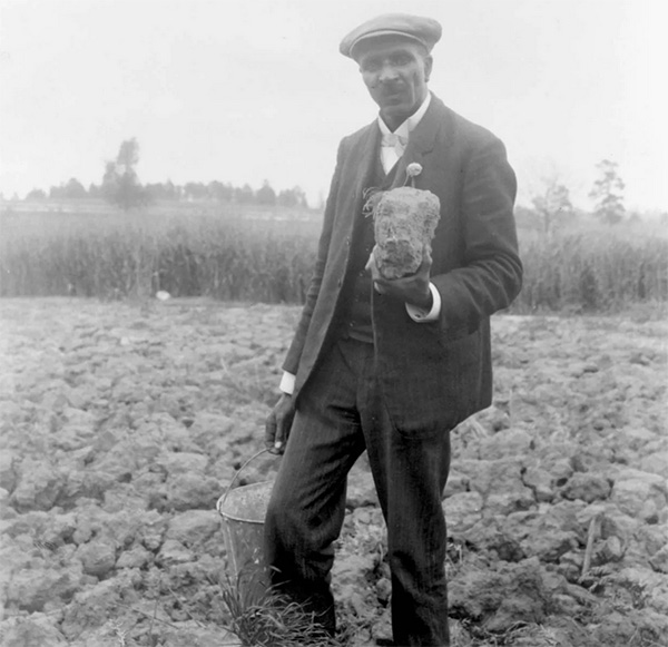 George Washington Carver and Virginia Peanuts