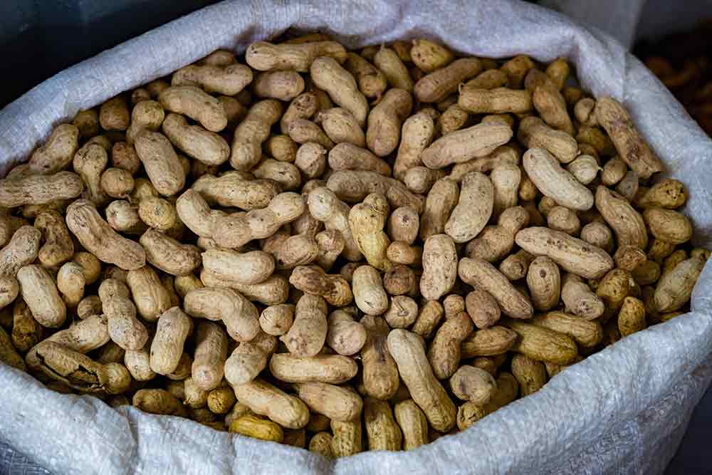 Unshelled peanuts in a bag