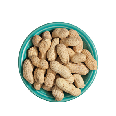 Salted In Shell Peanuts 16 oz. Bag