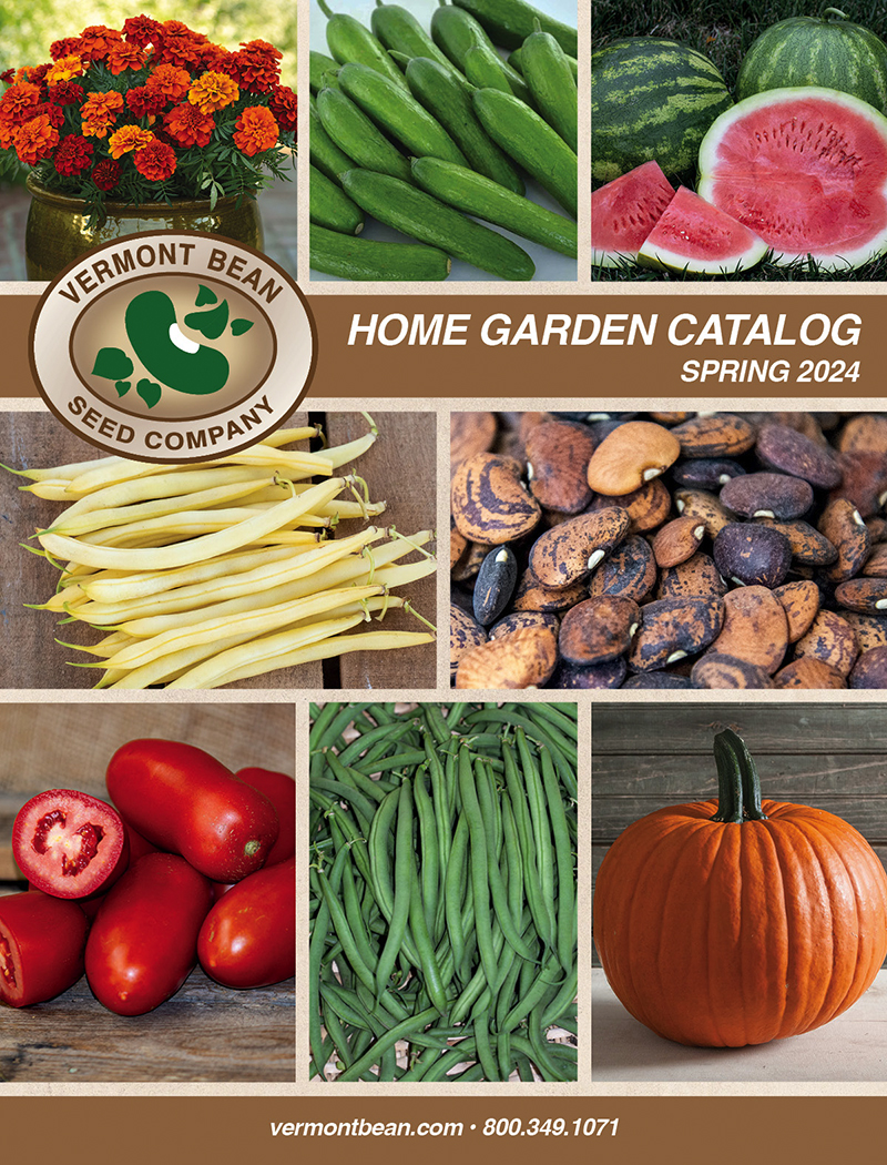 Seed catalogs for browsing