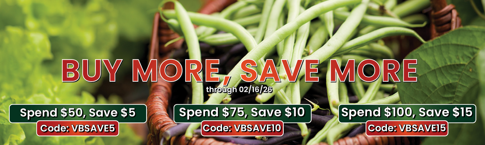 Buy More Save More With Code