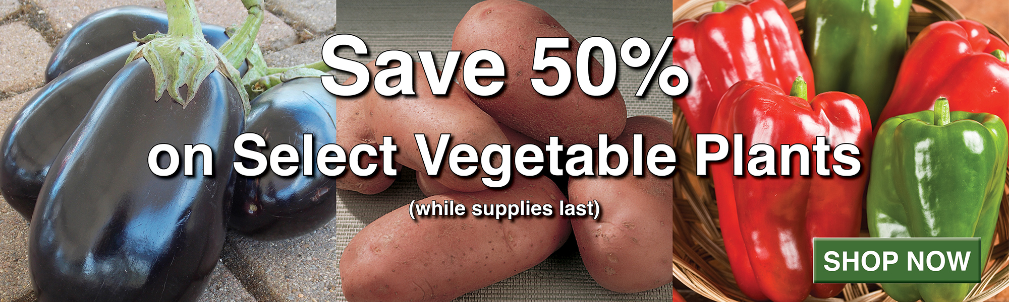 50% Off Vegetable Plants