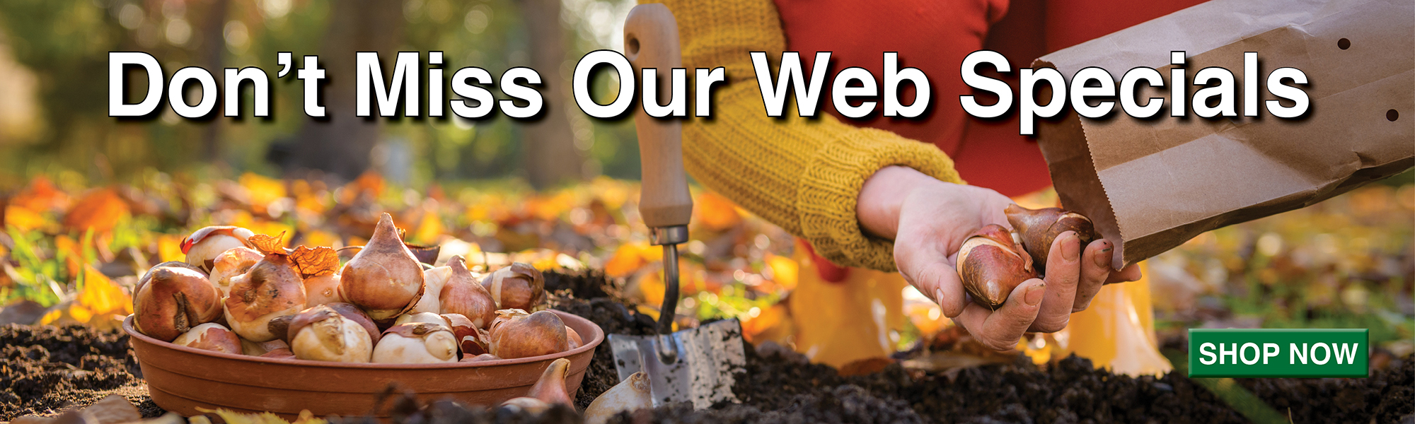Web Specials