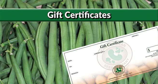 giift-certificates