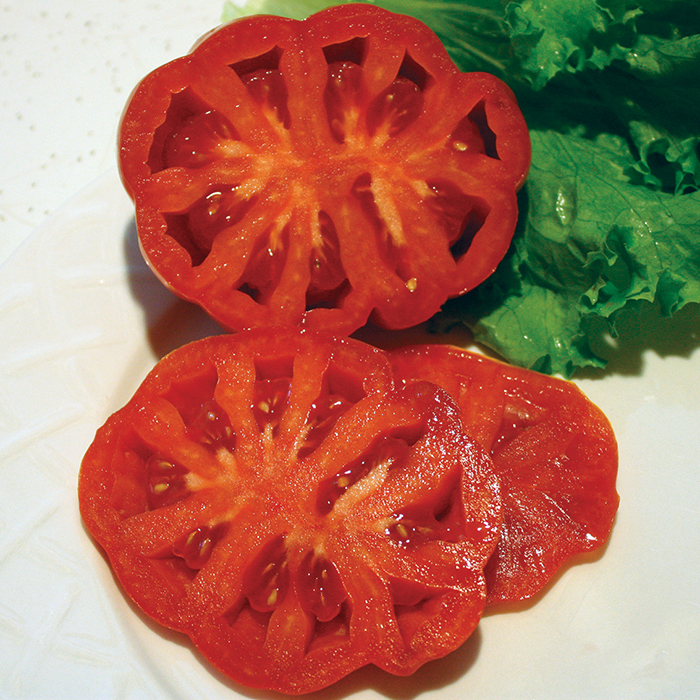 Red Anjou Hybrid Tomato