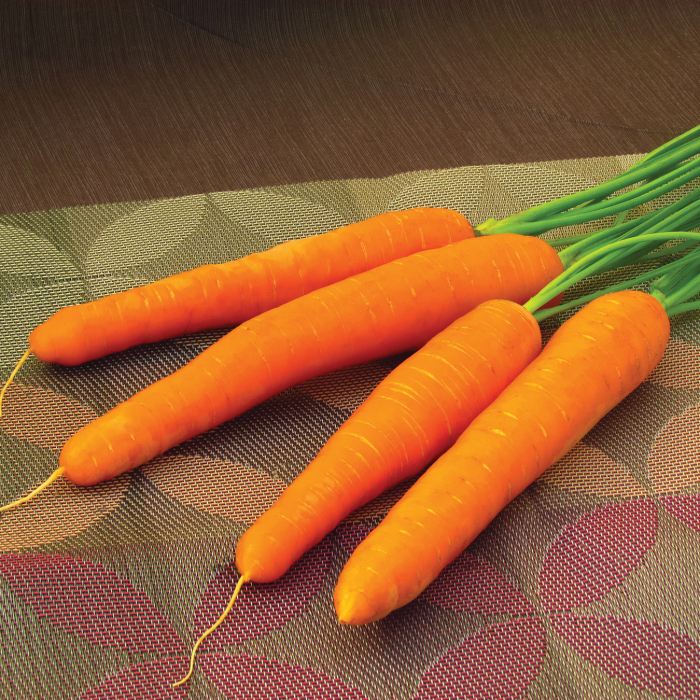 Ingot Hybrid Carrot 
