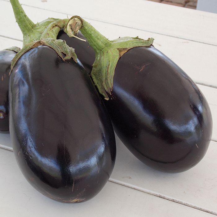Black Bell Hybrid Eggplant