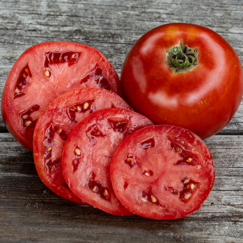 Tomato, Big Beef Plus Hybrid Tomato, Big Beef Plus Hybrid