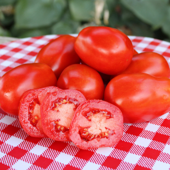 Tomato, Roma  Tomato, Roma