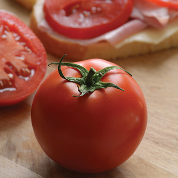 Stellar Hybrid Tomato