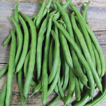 Bean, Pole, Moraleda 