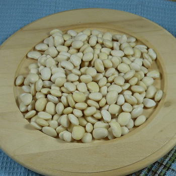 Bean, Bush, Dixie White Butter Pea Lima Bean, Bush, Dixie White Butter Pea Lima