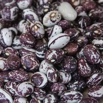 Bean, Pole, Good Mother Stallard  Bean, Pole, Good Mother Stallard