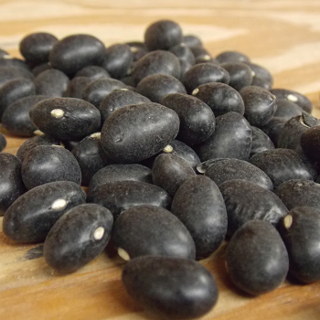 Black Coco Dry Bean