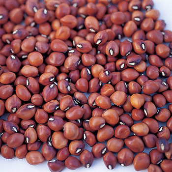 Mississippi Silver Cowpea