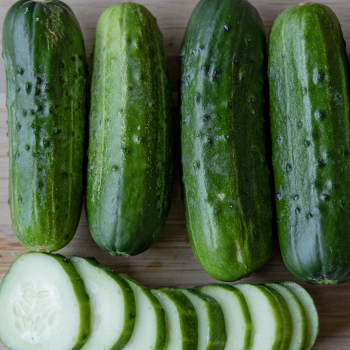 Cucumber, Supremo Hybrid