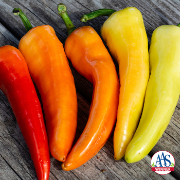 Pepper, Sweet, Sweet Banana 