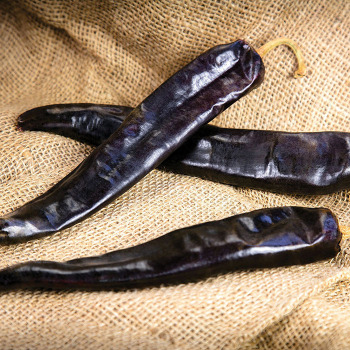 Pepper, Hot, Durango Hybrid