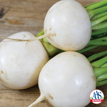 Turnip, Tokyo Cross Hybrid 