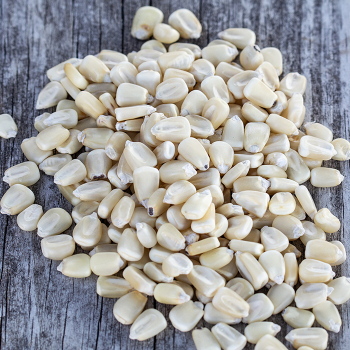 Field Corn, Silvermine