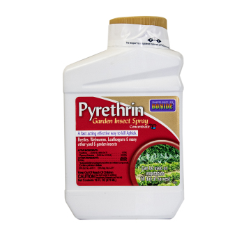 Bonide Pyrethrin Garden Insect Spray Bonide Pyrethrin Garden Insect Spray