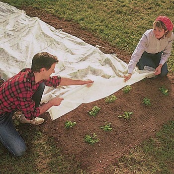 Harvest Guard Floating Row Cover - 5' X 25'
