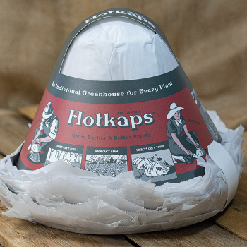Hotkaps Plant Protectors