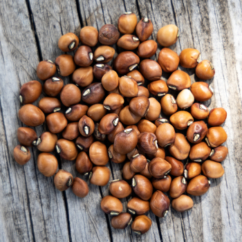 Cowpea, Mississippi Purple Hull