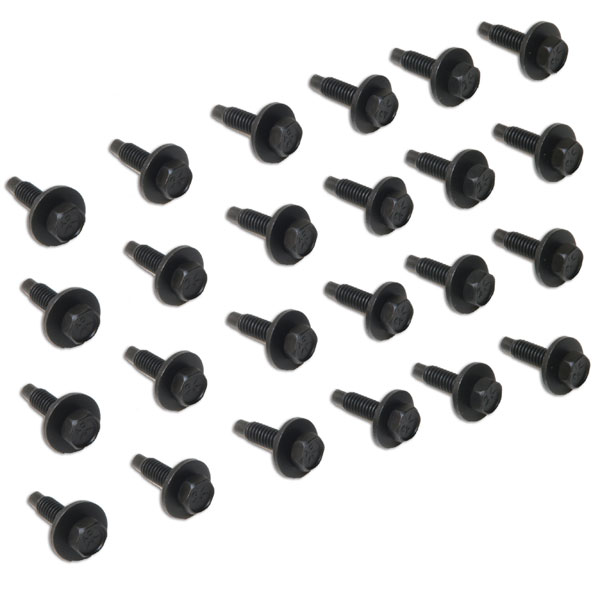 Door Hinge Bolts (Does both doors) 