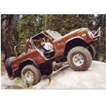 Wild Horses' Early Bronco Family Roll Cage