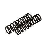 Variable Rate Stock Coil Springs Pair 
