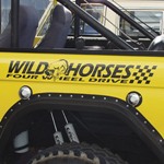 Large Wild Horses Fender Sticker, 32" x 4 .5"