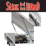 Stainless Hood Shocks for Deluxe Fiberglass Hoods, 66-77 Bronco