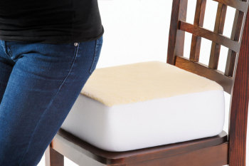 Rise With Ease Cushion