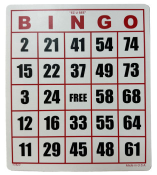 EZ to Read Bingo Card - One Card