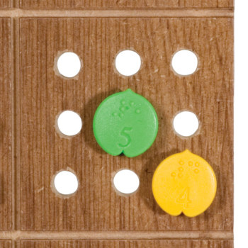 Braille Sudoku Puzzle Game with Board