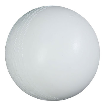 Cricket Ball with Rattles