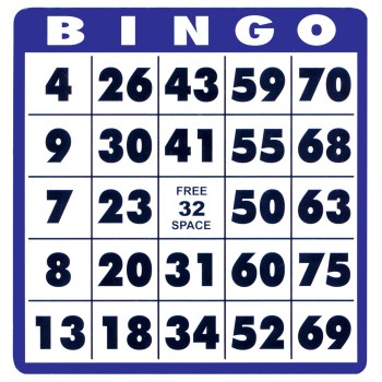 Low Vision Bingo Cards -10 cards