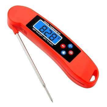 BBQ Talking Thermometer