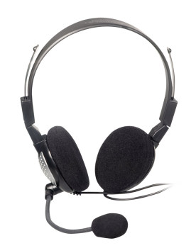Dragon Naturally Speaking Dual Headset
