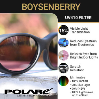 Cocoons Sidekick L Flip-Up Sunglasses- Boysenberry