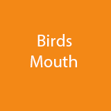 Birds Mouth Router Bits