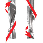 Spiral Upcut Router Bits (Metric) | Solid Carbide | EAGLE AMERICA