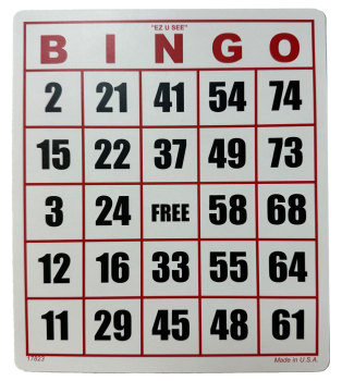 EZ to Read Bingo Card - One Card