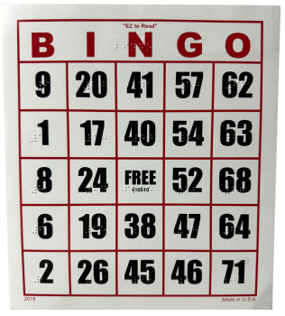 EZ to Read Bingo Card - Braille