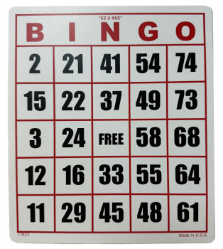 EZ to Read Bingo Cards -Set of 25