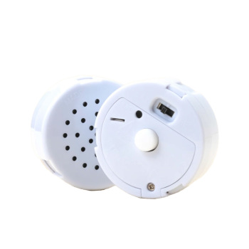 Mini-Me Recordable Voice Recorders For Talking Pill