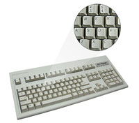 Braille Keyboards and Displays